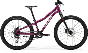 2025 Merida Matts J.24  Kids Bike in Purple