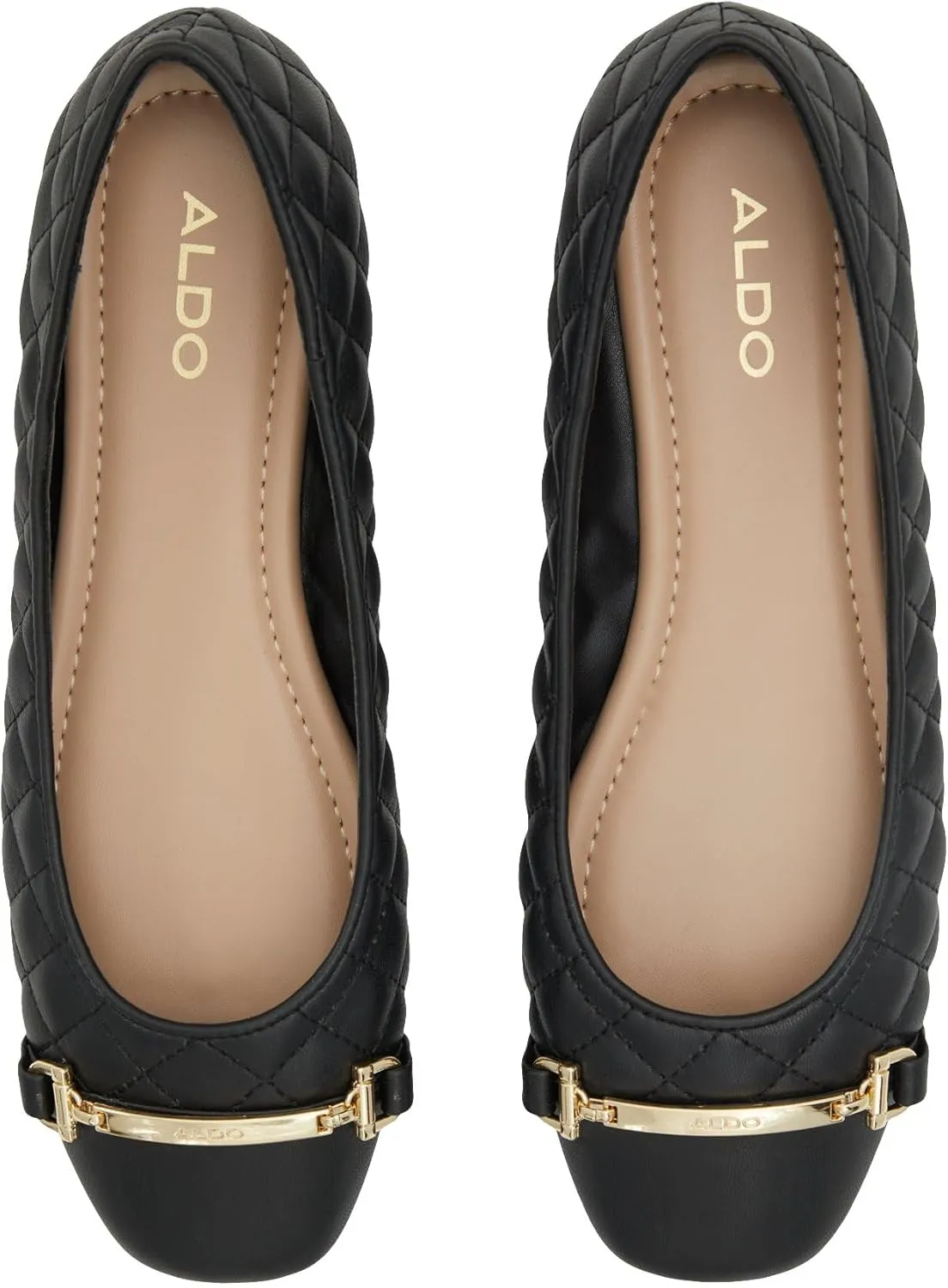 ALDO Women's Leanne Ballet Flat