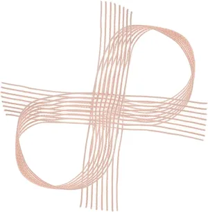 Ballet Dance Shoes Elastic Band Women's Pointe Shoes Reinforced Ribbon Flat Stretch Ribbon Invisible Strap for Dancers