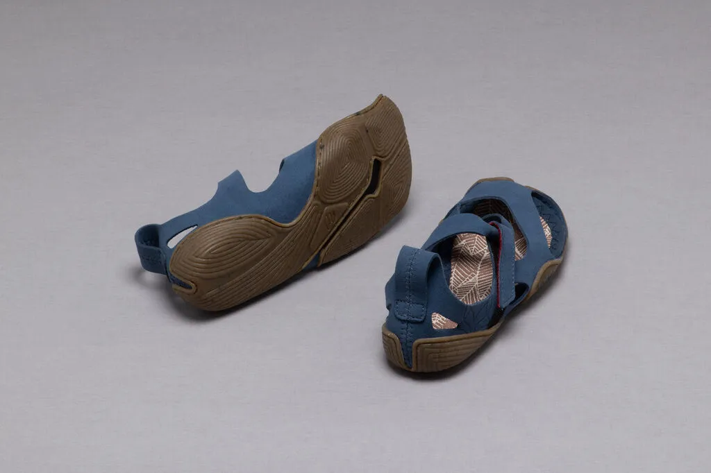 Feder blue