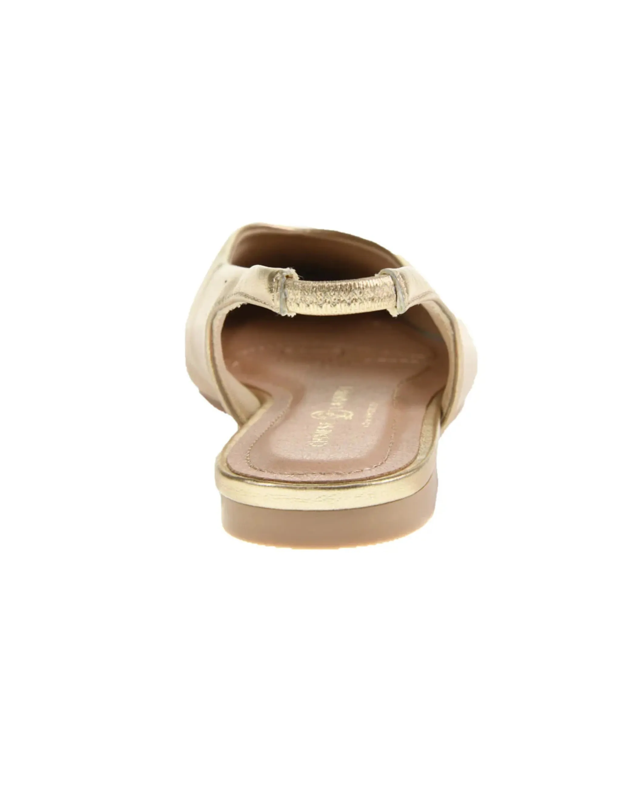 Hoda Pointed Toe Flat