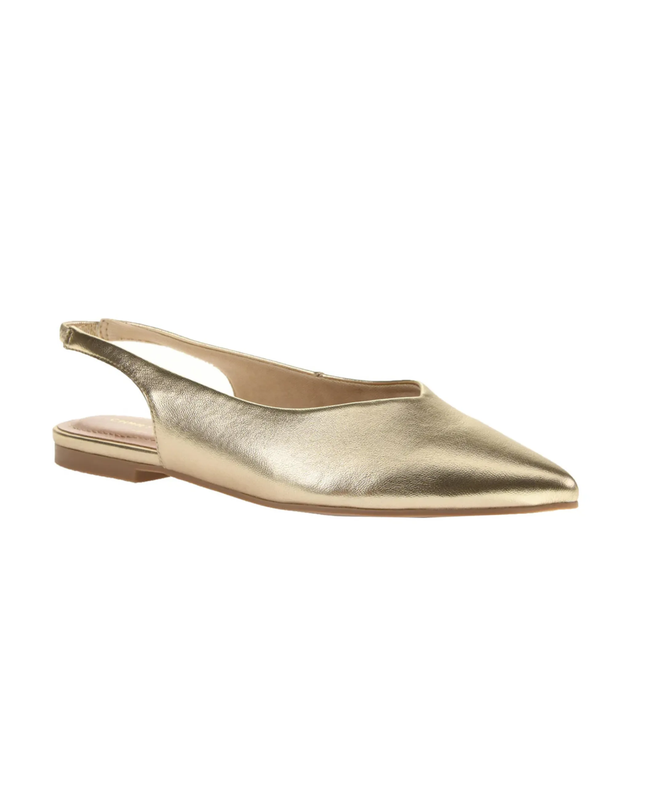 Hoda Pointed Toe Flat