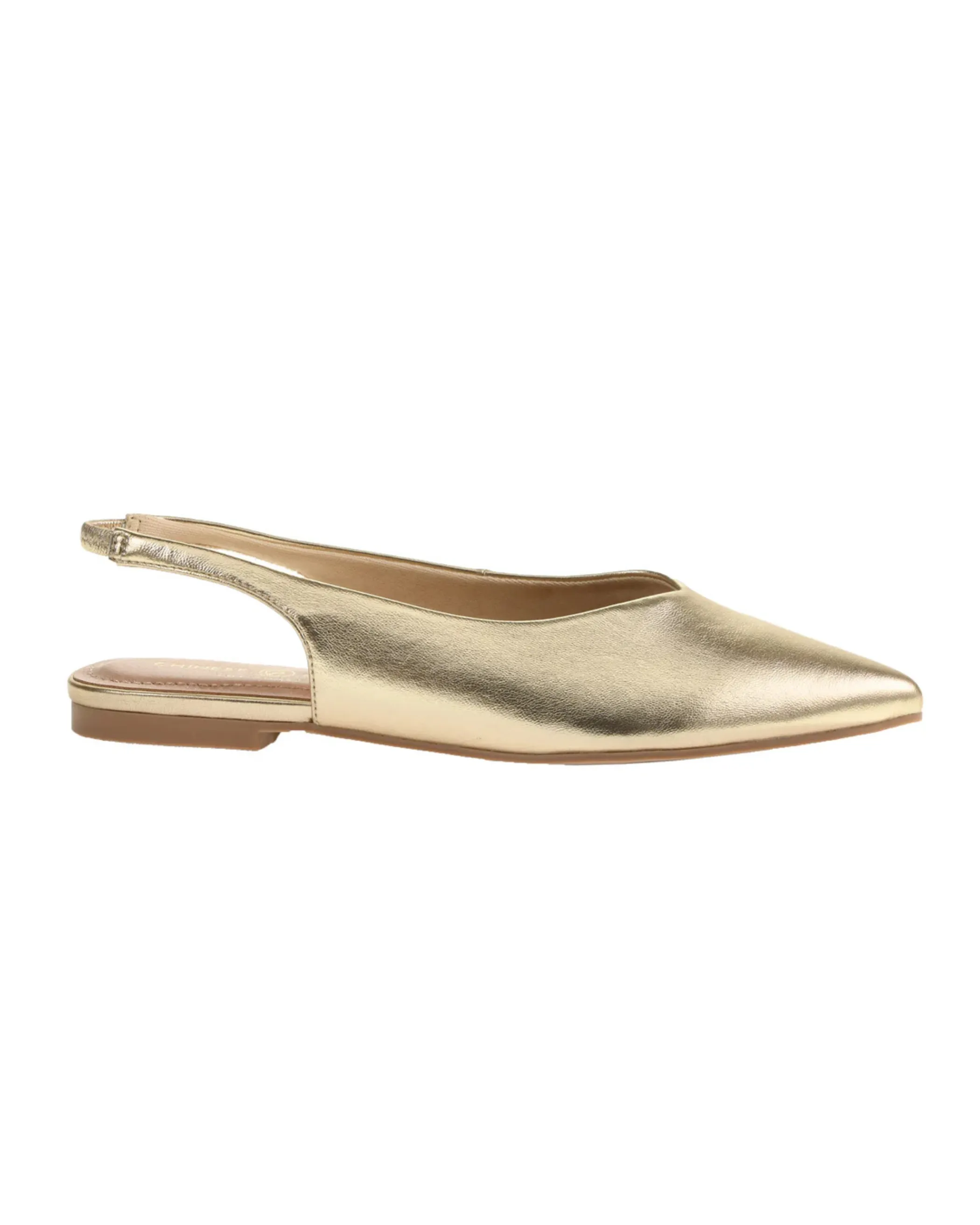 Hoda Pointed Toe Flat