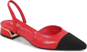 Pointed Toe Flat
