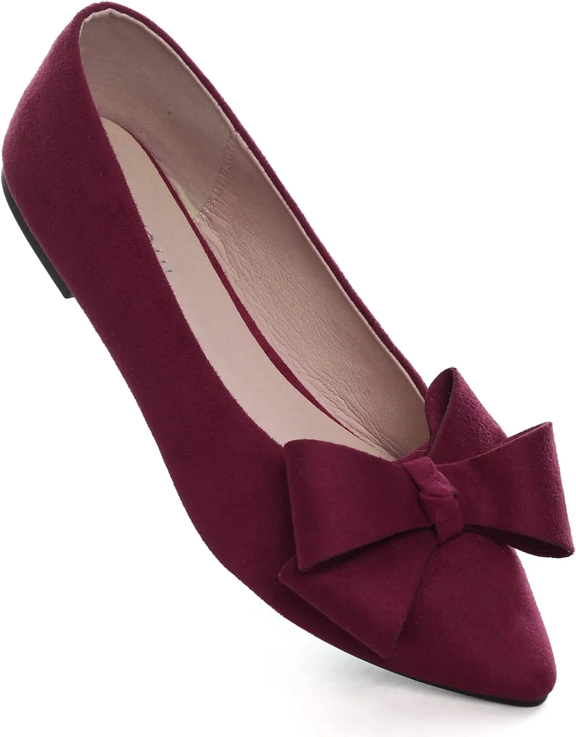 SAILING LU Pointy Toe Ballet Flats for Women with Cute Bowknot Elegant Slip-ons Soft Support Daily Walking Shoes