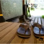 Stoney Creek STC Jandals - NZ Sizing 6 to 14